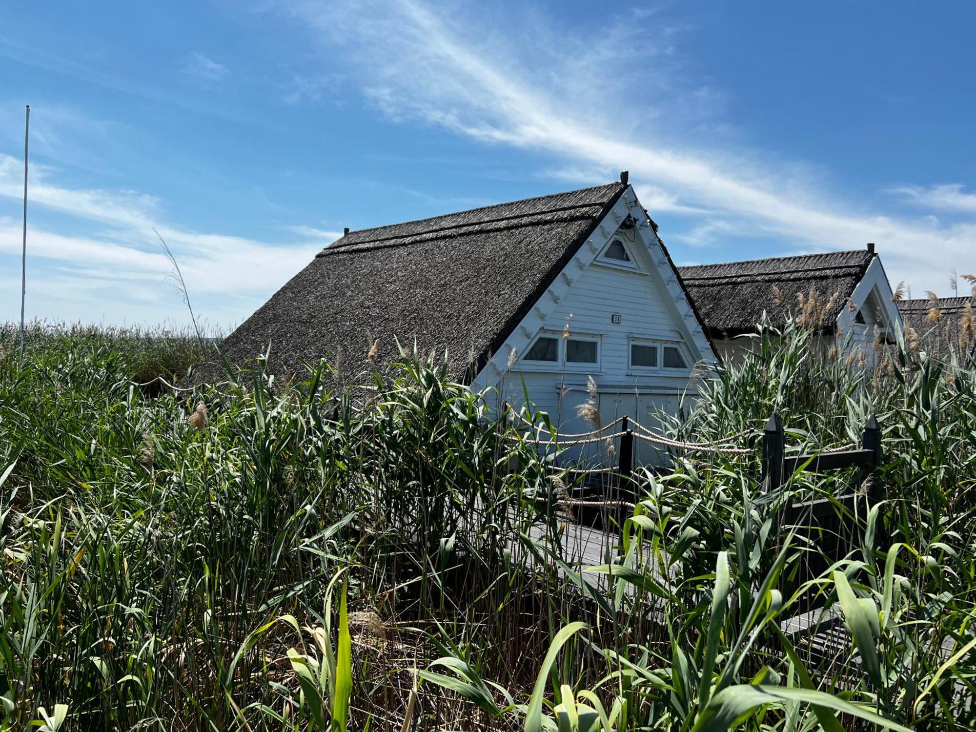 Seehuette Neusiedlersee - Seehaus Inklusive Elektroboot Rust Zewnętrze zdjęcie